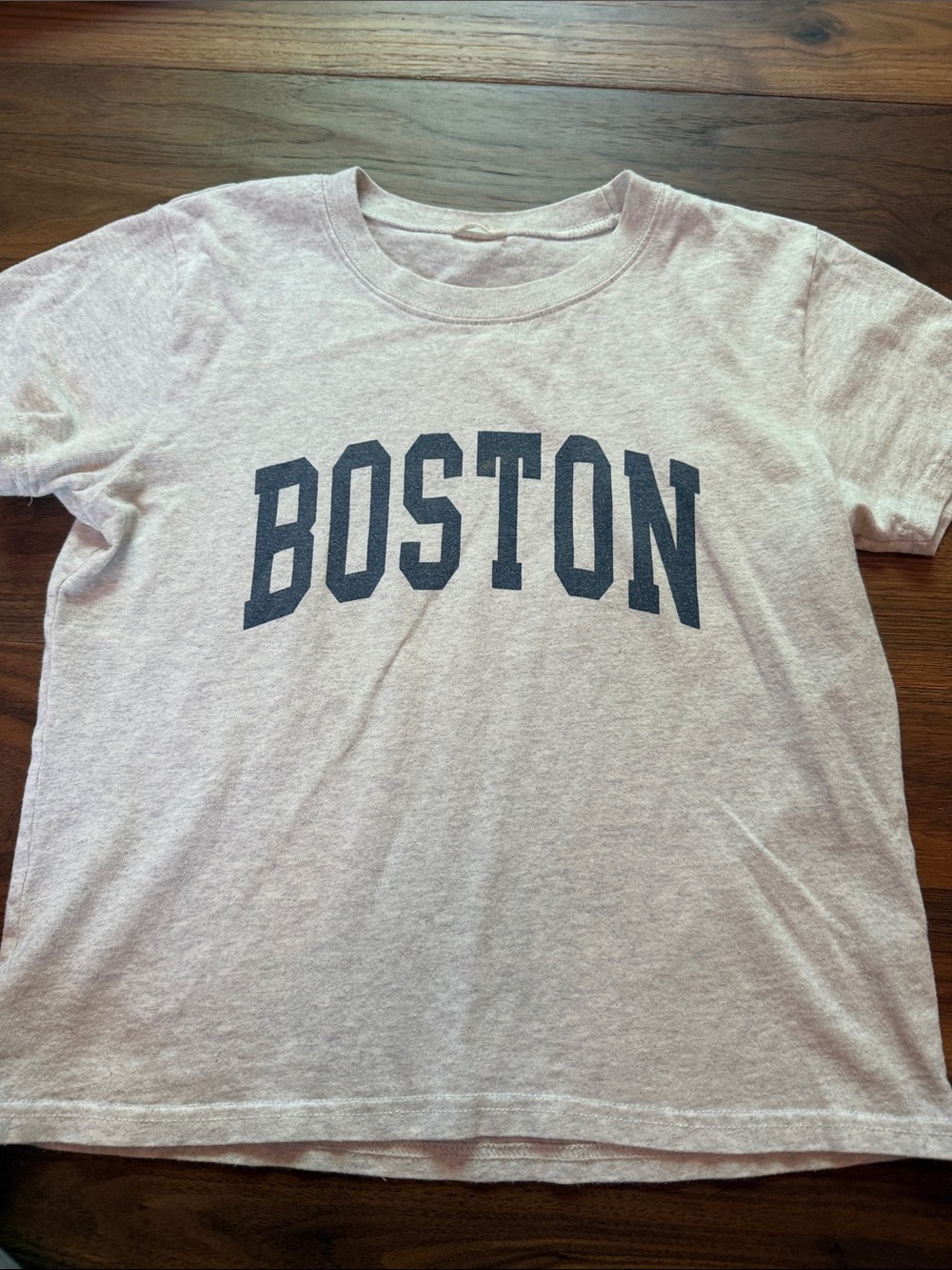 Brandy Melville Boston Graphic Tee - Light Heather Pink with Navy Print